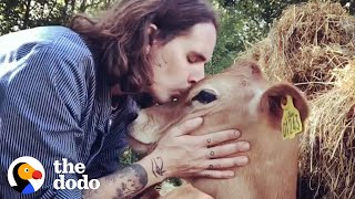 Guy Gives Up Everything To Save Animals | The Dodo Heroes