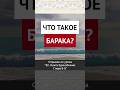 Что такое барака? || Ринат абу Ибрахим #ислам #коран #вера #бог #намаз #сунна #истина