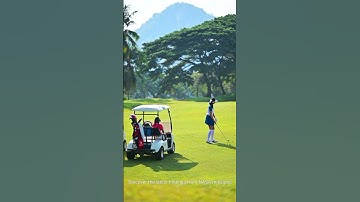 #explore #knowledge #insight