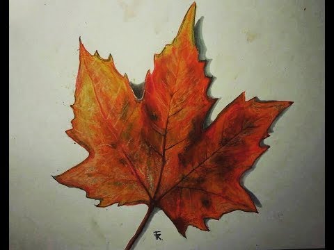 How To Draw Autumn Leaves | Lessdraw