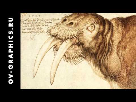 Video: Konj Leonardo Da Vinci, Templari I Druga Percepcija - Alternativni Prikaz