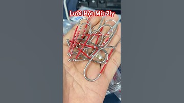 Lưỡi câu cá lóc mẫu hột mít 2ly 5p5 thép trắng không rỉ | #docaungokhanh