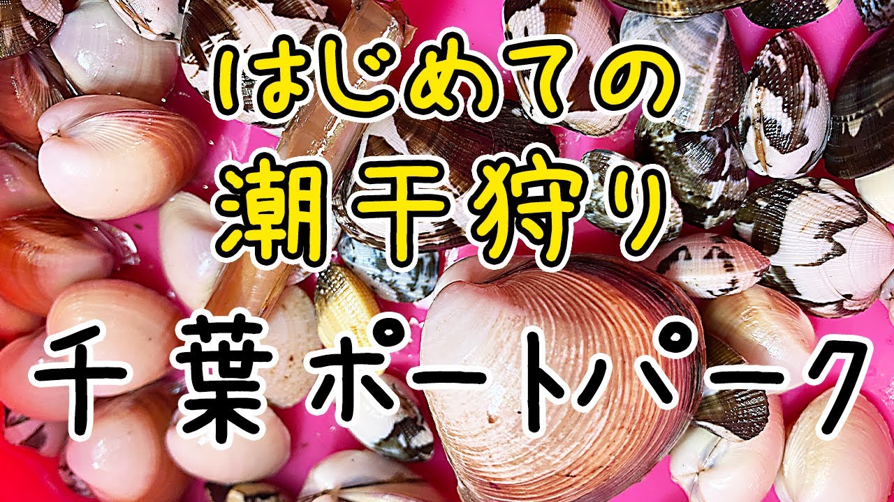 こんな採れるの 千葉ポートパークで初めての潮干狩り アサリやマテガイ シオフキガイが沢山 千葉県 漁業権なし 無料の潮干狩り 千葉港 千葉みなと Youtube こんな採れるの 千葉ポートパークで初めての潮干狩り アサリやマテガイ シオフキガイが沢山 千葉県 漁業権なし 無料の潮干狩り 千葉港 千葉みなと Youtube
