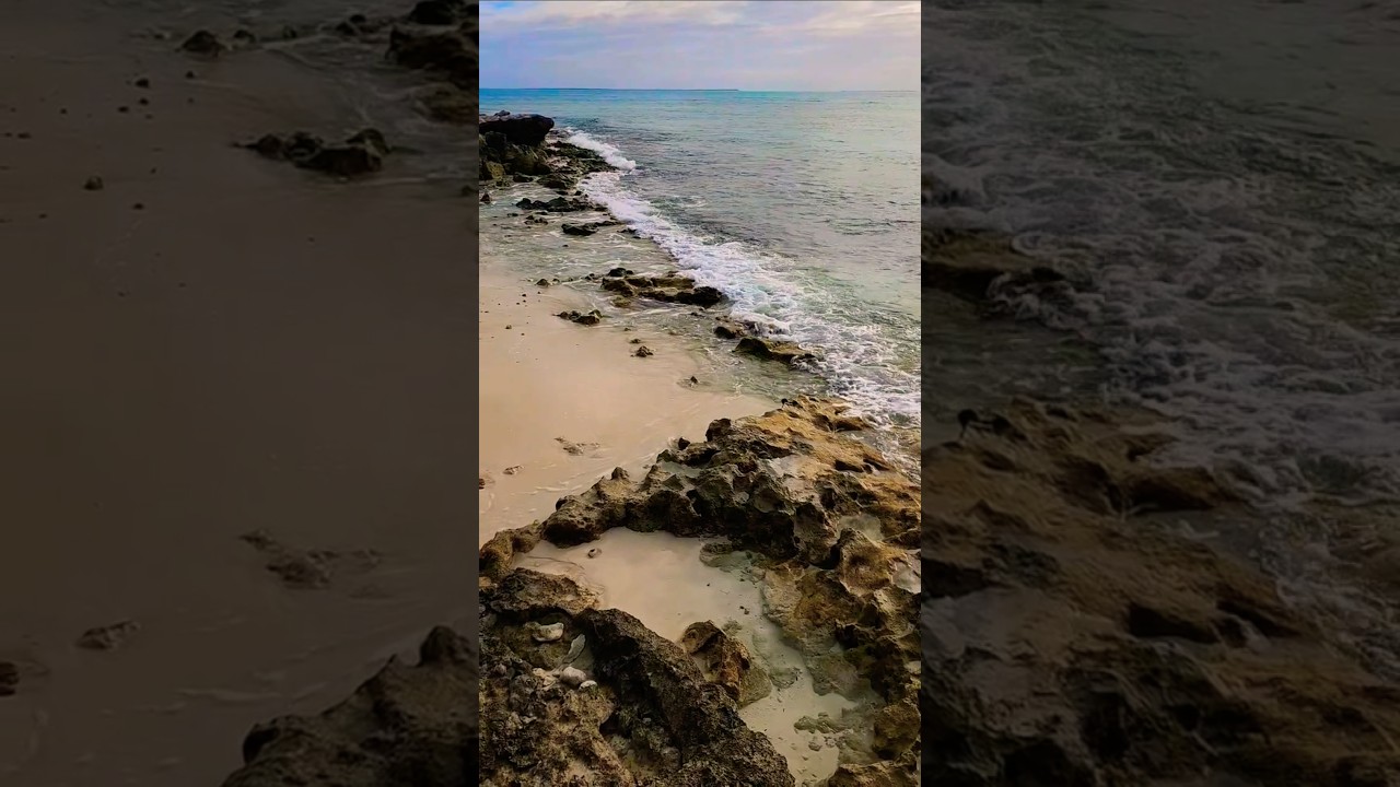 ASMR Ocean: Crashing Waves & Rocky Shores - Grand Turk | Caribbean Princess Cruise #fyp #ASMR #Beach