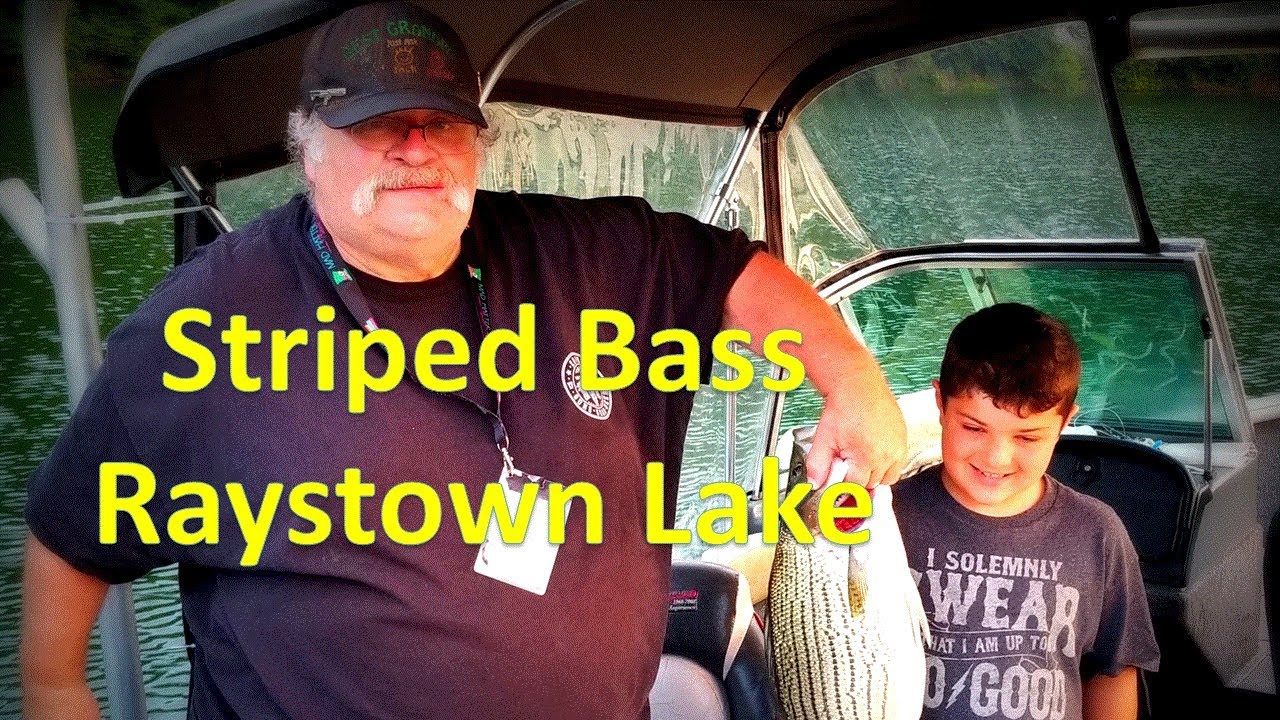 Striped Bass Fishing Lake Raystown 2019 YouTube