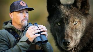 I Discovered a New Wolf Pack in the Remote Wilderness