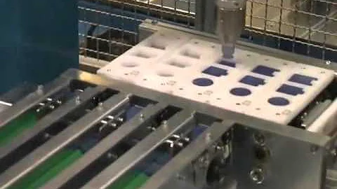 EPSON FANS Vision Guided Part Singulation (G6 551S Scara).