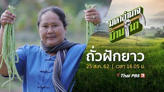 ถั่วฝักยาว : มหาอำนาจบ้านนา (25 ส.ค. 62)