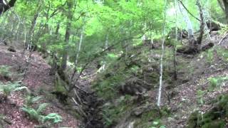 El Tabayón del Mongallu(1/2)