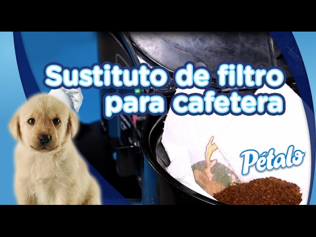 Filtro Para Cafetera Cono Prensado Francés Universal | Walmart en línea