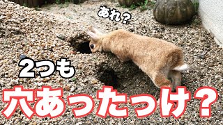 親方のトンネル、完成を待たずに崩落してしまう　#994
