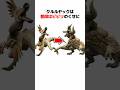 【モンハン】クルルヤックの生態とトリビアを解説#shorts #モンハン解説 #mhw #mhrise