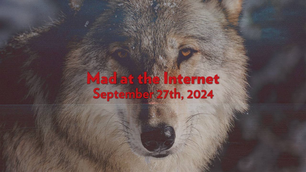Damnit, Moon Moon - Mad at the Internet September 27th, 2024 - YouTube