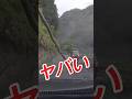 山道→木が降ってきた　#ドラレコ #automobile #警察 #ダンプ #事故 #事故映像