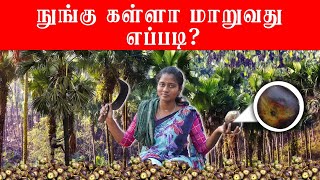 What are the benifits of palm tree | பனைமரத்துல இருந்தா இவ்ளோ பொருள் கிடைக்குது!