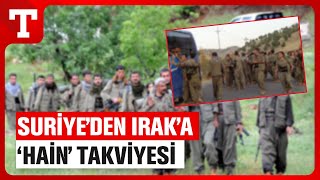 Büyük Operasyon Planı Hainleri Korkuttu! Suriye’den Irak’a Binden Fazla YPG’li Geçti Resimi