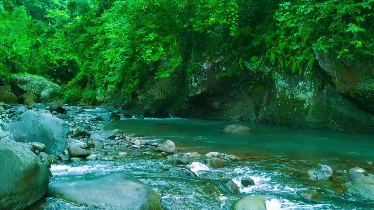 Flowing Water Sounds - Tranquil River for Stress Relief & Sleep