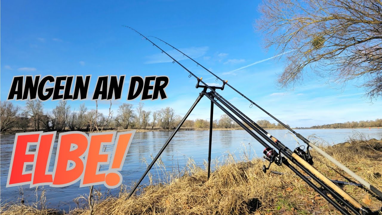 Angeln am neuen Fluss! Tipps zum Feederangeln. 