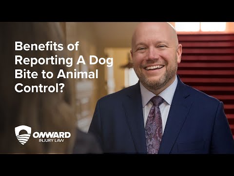 Benefits of Reporting A Dog Bite to Animal Control? // Onward Injury Law