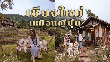 ที่พัก Farmstay เหมือนอยู่ญี่ปุ่น จริงๆอยู่แค่เชียงใหม่ I Bellephat