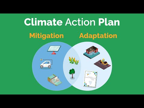 Different ways to respond to the impacts of climate change