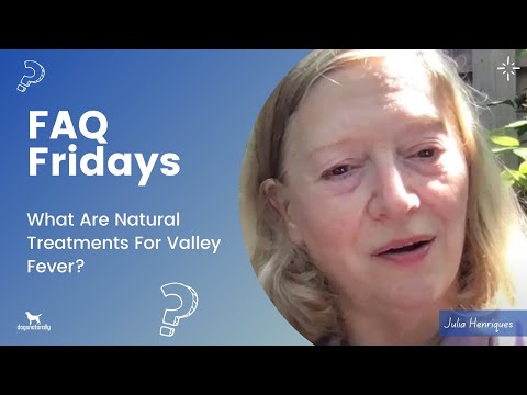 Video: Cures for Valley Fever for en hund