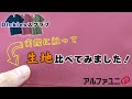 Dickiesスクラブの生地の違いを比べてみました！- アルファユニ