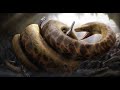         snakes that killed dinosaurs  rohossojaal