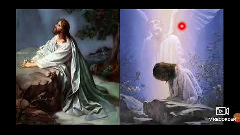 Class  4/ Moral science/ Lesson 8 /Session 8