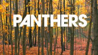 Panthers - Things Are Strange - Weird Birds