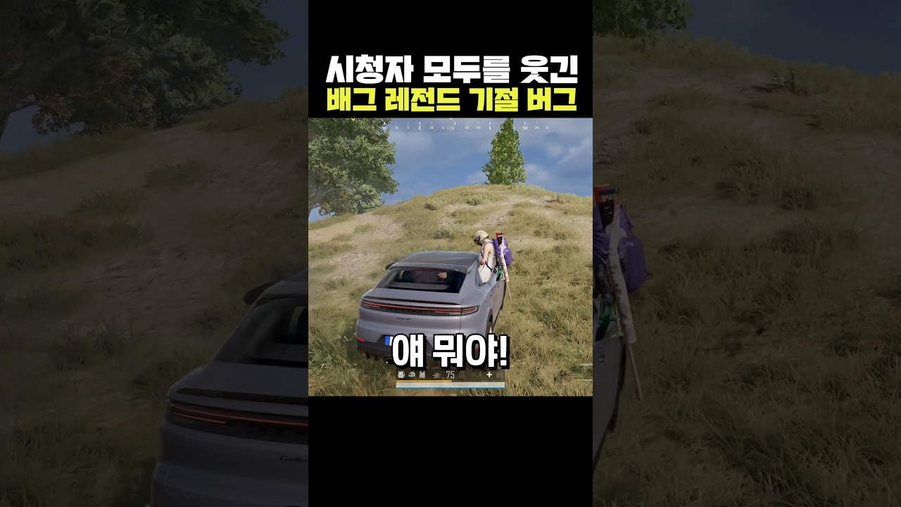 The Legendary PUBG Knocked-Out Bug That Had Every Viewer Dying of