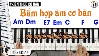 Cách BẤM HỢP ÂM Đàn Organ Cơ Bản cho người mới học || THIỆN ORGAN