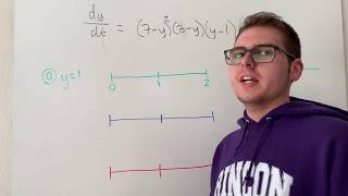 Equilibrium and Stability Differential Equations 2.5