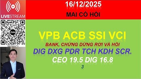 16/12 cỔ PHIẾU VPB ACB SSI VCI BANK, CHỨNG DỪNG RƠI & HỒI DIG DXG PDR TCH KDH SCR CEO 19.5 DIG 16.8