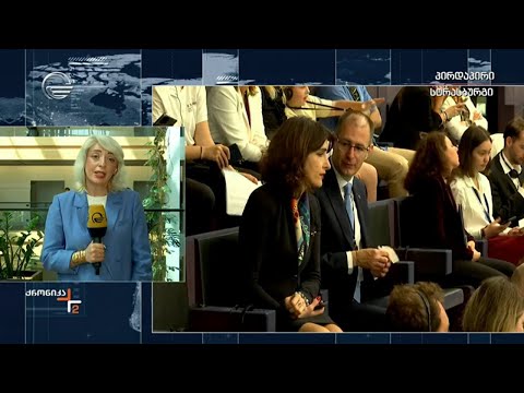 ევროინტეგრაციის კომიტეტის თავმჯდომარე სტრასბურგშია და კოლეგებს ხვდება