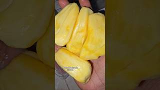 #viral #live #trending #fruit #fruits #best #sad #sadstatus #real #reality #city #subscribe #shorts