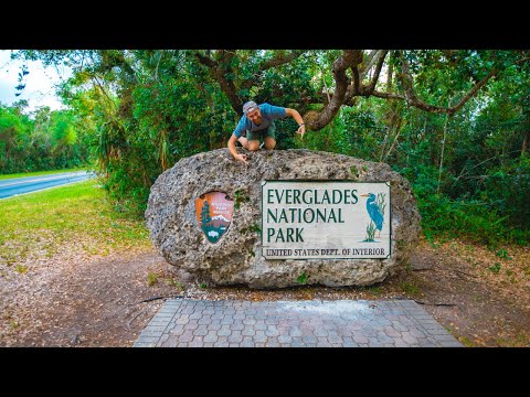 Video: Wat zijn de producenten in de Everglades?