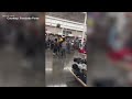 Viral video shows shoppers