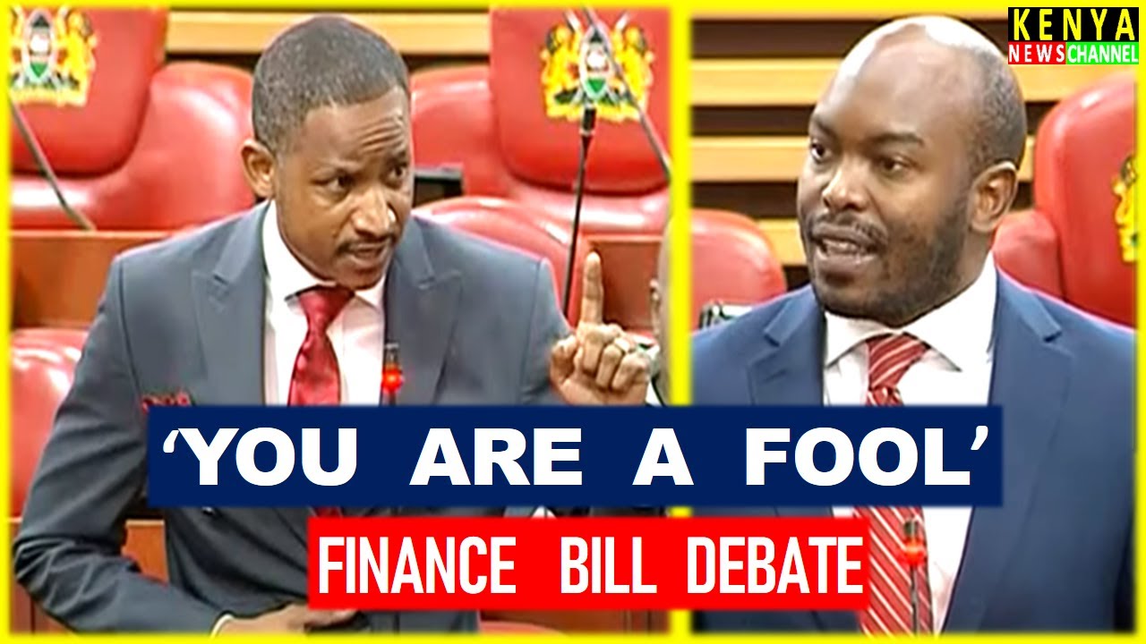 Listen what ANGRY Babu Owino told UDA MP Kagombe in Parliament during Finance Bill debate