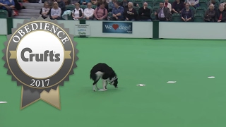 Inter-Regional Obedience - Class A Scent - Part 1 | Crufts 2017