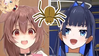 2 Different Types of VTubers and How They React to IRL Spiders + Haachama [Hololive/Korone/Kronii]