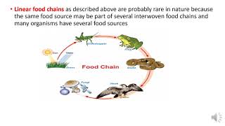 Energy Flow and Trophic Levels
