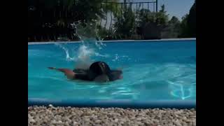 Diksha Singh Looking Hot In Y Dress 3