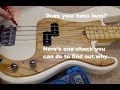 Finding out why my bass hums