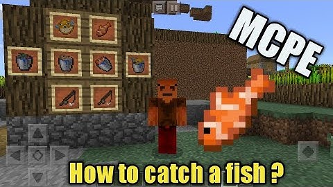 How to catch fish in a bucket on mcpe (minecraft pocket edition) ?