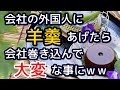 会社の外国人に夜食で羊羹あげたら、会社を巻き込んでとんでもない事になった((((;゚д゚)))【外国人の和む話】