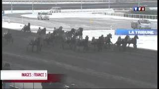 PMU , french horse racing results Theme 2 ( TF1 / 2009 )