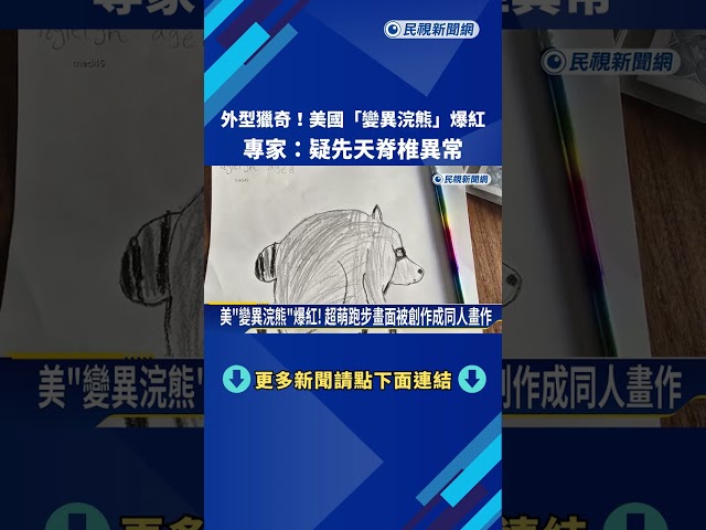 外型超獵奇！ 美國「變異浣熊」爆紅 專家：疑先天脊椎異常－民視新聞