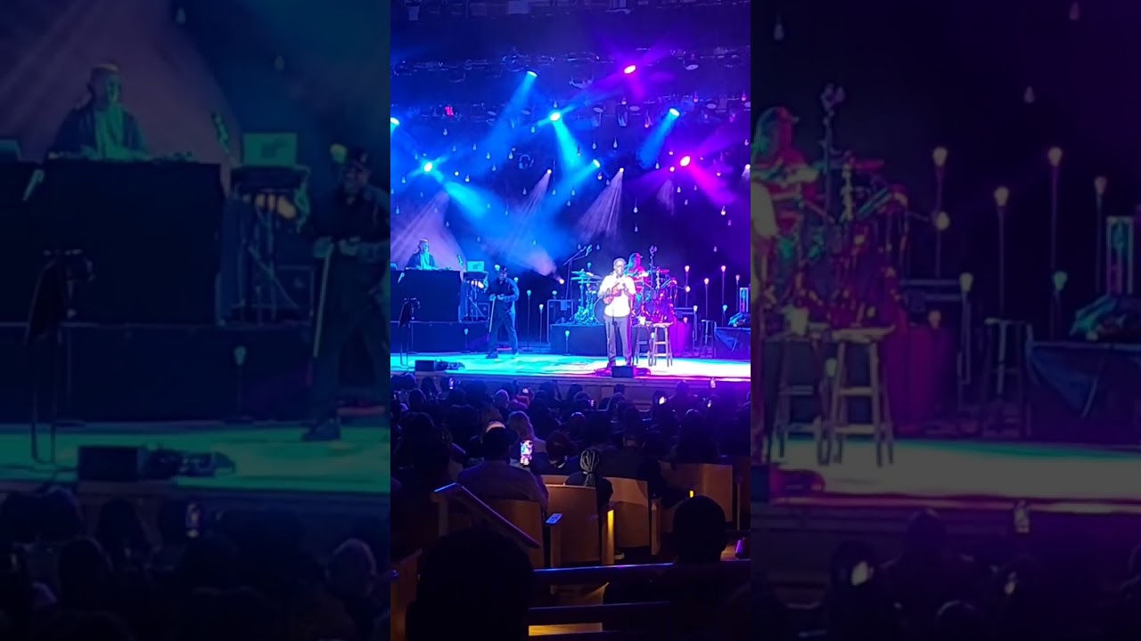 BLACK VIOLIN | INTENTIONAL LIVING | JANEA'S GEMS 