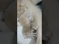 4 Yavrumuz Oldu Maşallahhhh